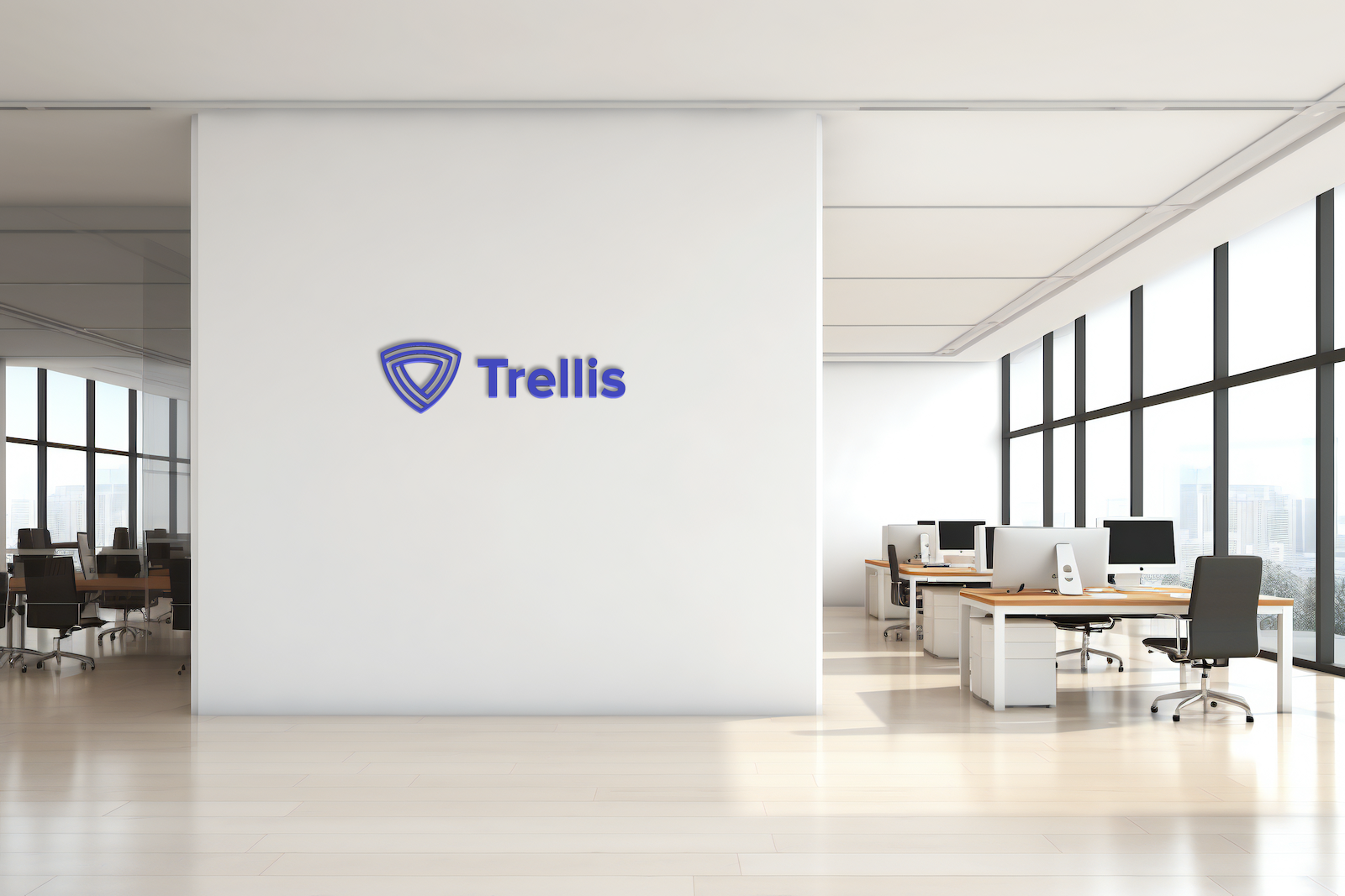 Trellis Connect / Trellis Technologies case study
